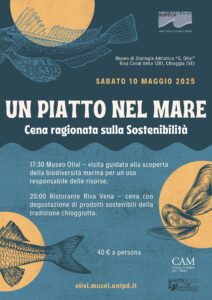 10 Maggio 2025